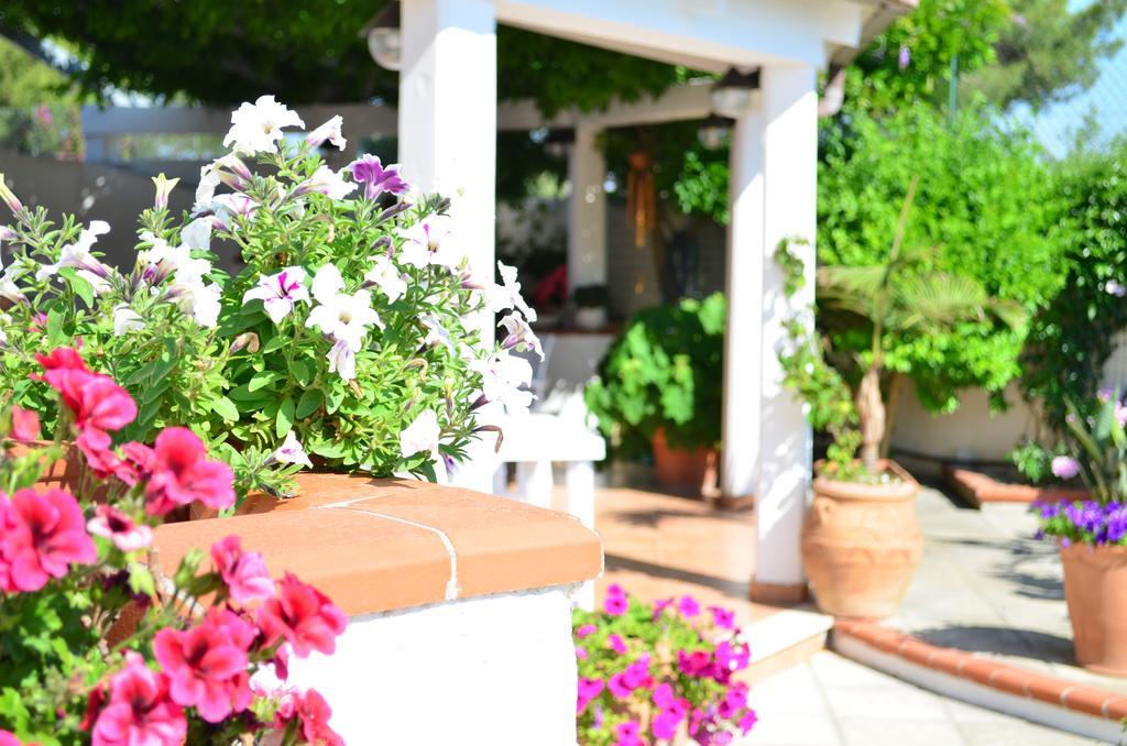 B&B Le Vele Маруджо Экстерьер фото